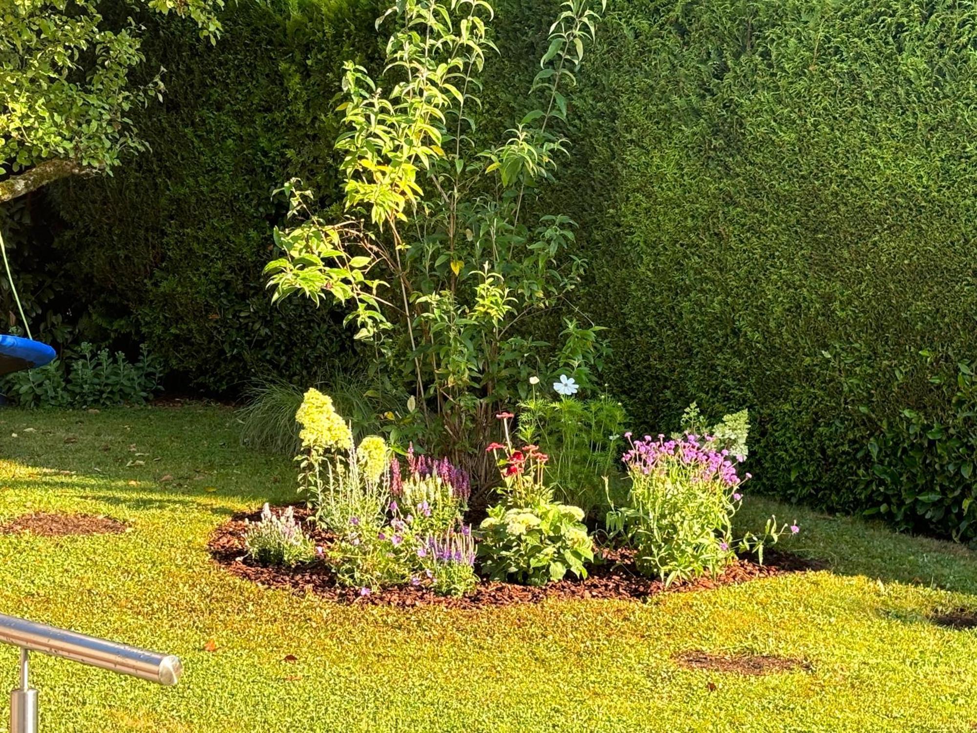 Ferienwohnung Bliestalglueck Oberthal Екстериор снимка
